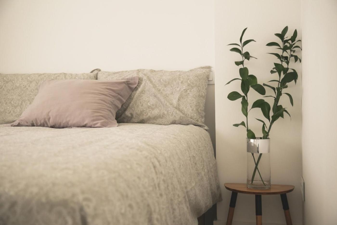Romantico Apartamento En El Centro Santander Extérieur photo